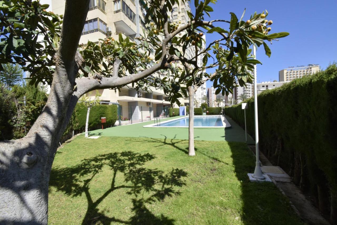 Mariscal 4 - Fincas Arena Benidorm Dış mekan fotoğraf
